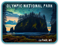 Starry Night Olympic National Park Sticker
