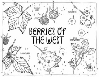 West Coast Wonderful Coloring Book