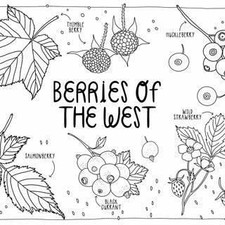 West Coast Wonderful Coloring Book