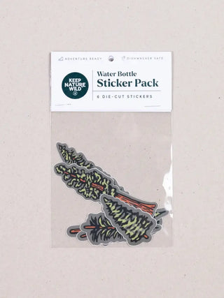 Nature Study Water Bottle Sticker Pack | Conifers