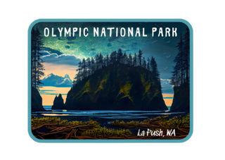 Starry Night Olympic National Park Sticker