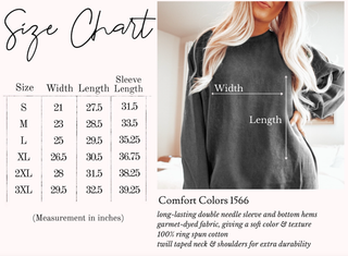 Washington State Mount Rainier Embroidered Sweatshirt