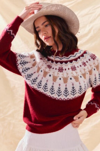 Rudolph Novelty Holiday Knit Sweater