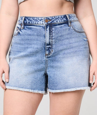 High Rise Curvy Frayed Hem Denim Shorts