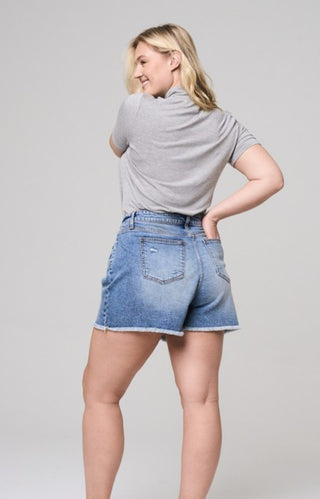 High Rise Curvy Frayed Hem Denim Shorts