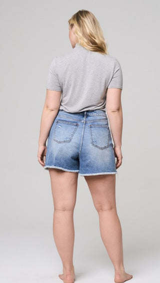 High Rise Curvy Frayed Hem Denim Shorts