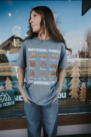 National Parks of Washington Design