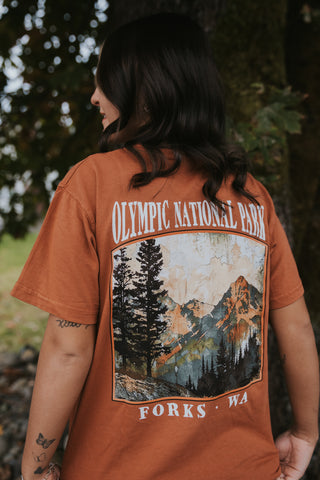 Olympic Mountain Drip Scene Short Sleeve Tee