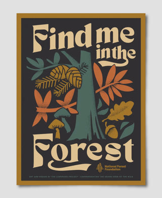 Find Me In The Forest Poster