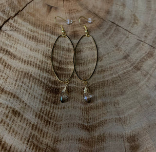 Oval Outline w/ Wirewrapped Crystal Drop Earring