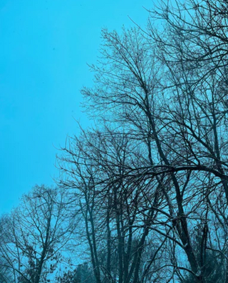 The Orginal Twilight Filter Keychain (2008)