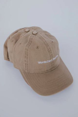 Words Can't Describe Dark Khaki Hat