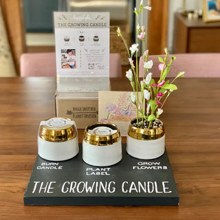Astrid | Growing Candle, Flower Seed-Label