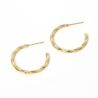 Twisted Stainless Steel Hoop Earrings
: Gold