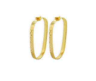 Radiance Gold Tone Earrings