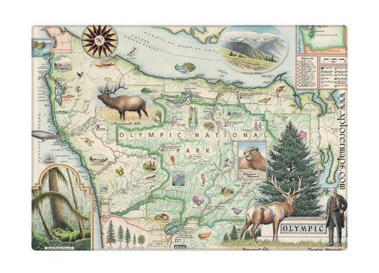 Olympic National Park Map Magnet